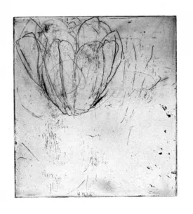 Rosenberg, Andrea  •  untitled 6 (white ground)